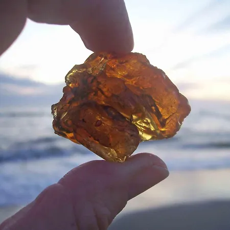 Family & Vejers Strand