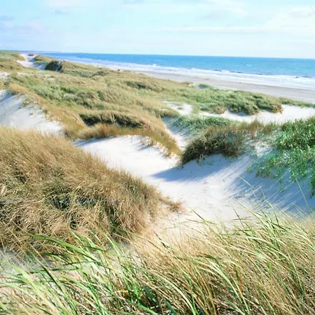 Vejers Family Camping &